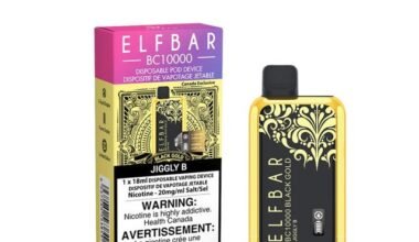 Elfworld 12K Watermelon Ice Disposable | Vape Store