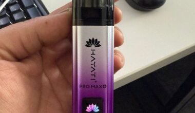 Chargeable Disposable Vape Mixed Berries | Vape Store noida